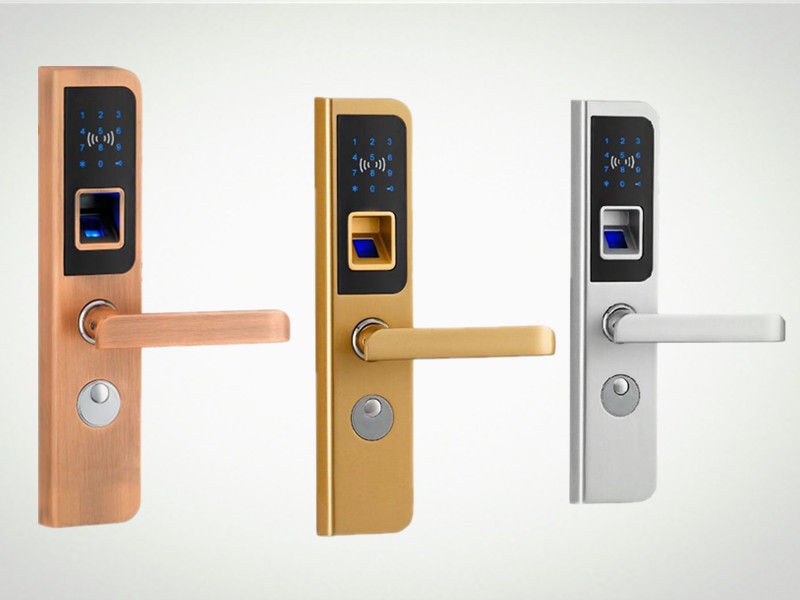 Delux high-end security access control biometric touch screen smart fingerprint cebu lock