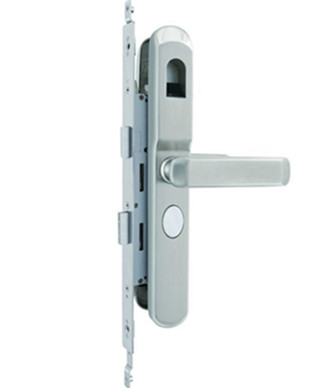 Biometric Fingerprint Lock for European Archetecture Doors with Thin Narrow Decorative Door Frames