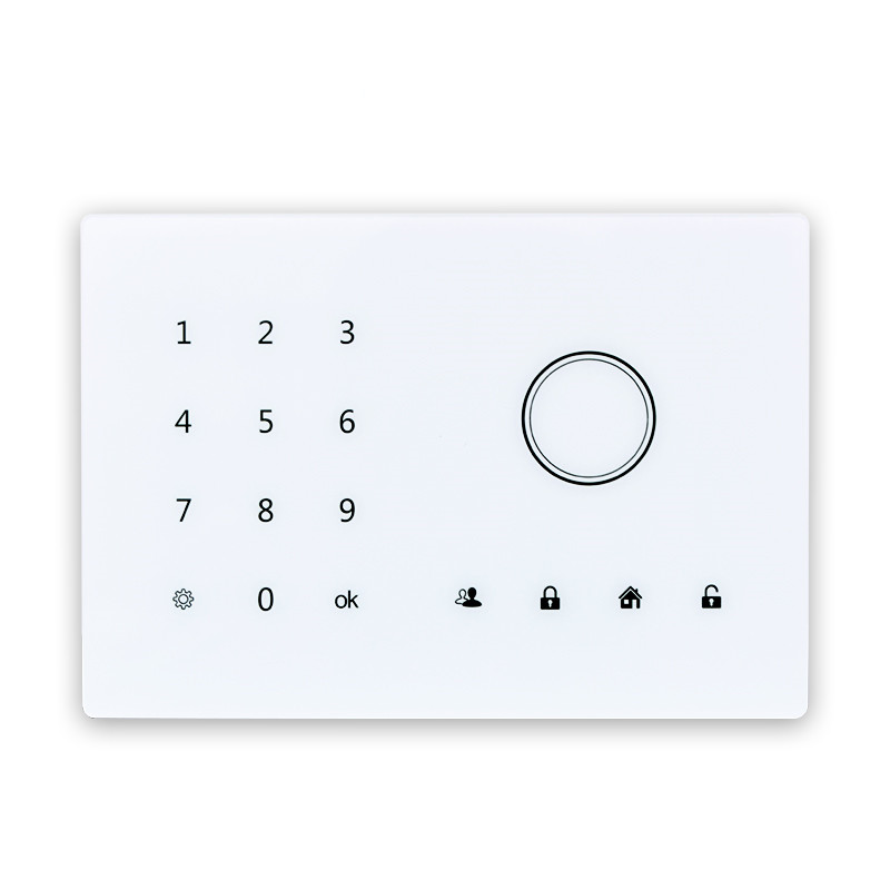 GSM Anti-lost Alarm System for Elderly and Children
