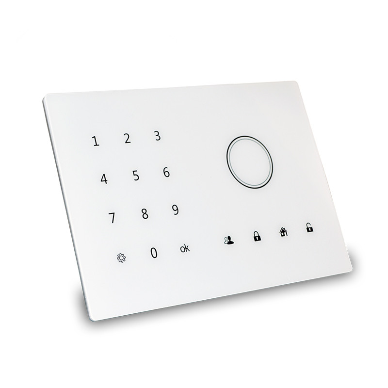 GSM Anti-lost Alarm System for Elderly and Children